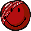 Smiley Cricket Ball