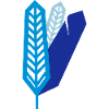 Plumes