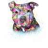 Pitbull