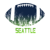American football, Seattle fans