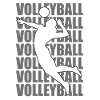 Volleyball - Volleyball player
