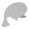 Cute round manatee