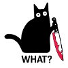 Guilty Cat