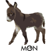 DONKEY