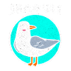 Möwe