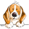 Sweet Beagle