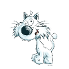 Funny white Cat
