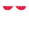 Poland Pole Polish flag