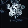 Orchid black white effect