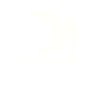 Parkour - Street Workout