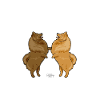 mittellove3