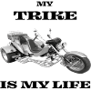 Trike bike motorcycle chopper