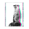 Cadeau cool suricate Surikate Meerkat