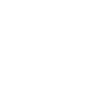Wing chun fighter