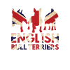 English Bull Terriers Union Jack