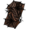 spiders spider webs