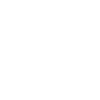 Chauve-souris