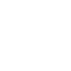 Briard