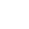 Briard