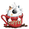 Chat et café