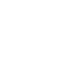 Raccoon Minimal