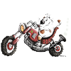 Chat Moto