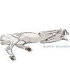 galgoneus design 6
