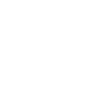 A dolphin