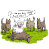 Aprilscherz Schaf