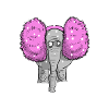 éléphant