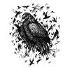 Crows