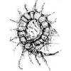 Centipede