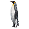 Polygon penguin animal design