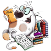 Funny cat reading books