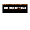 LIFE ALMOST THE YOUNG