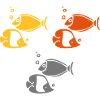 Korallenrifffische