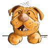 Happy Dogue de Bordeaux
