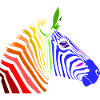 Zebra; Punk Zebra; Rainbow Zebra