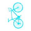 Bicycle Sport