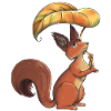 Autumn squirrel
