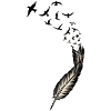 feather with birds