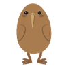 Kiwi NOUVELLE ZELANDE oiseau mignon