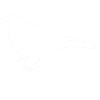 Fogel V