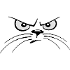 Chat - cat eyes