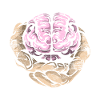 Psychologist gift