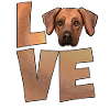 Rhodesian Ridgeback