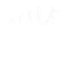 Tai Chi evolution