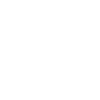 Ski