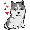 petit doux bébé husky