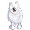 Funny Spitz